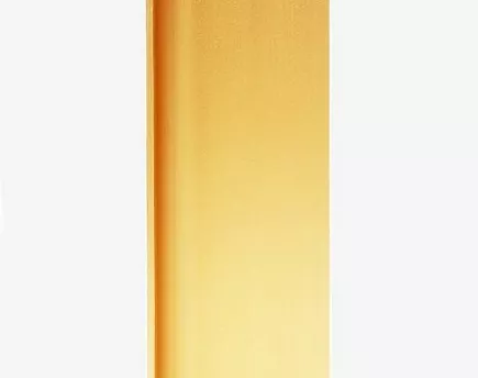 UCHWYT T.LISTWA KORYTK.POJ. PIONOWA L 2500 ZŁOTY