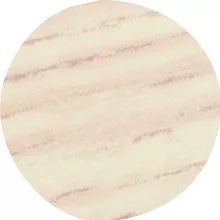 ZAŚLEPKA 4819 DĄB J.BIAŁY 13/20SZT  