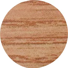 ZAŚLEPKA  20/15SZT 4557 DĄB