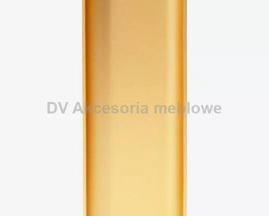 UCHWYT T.LISTWA KORYTK.POJ. PIONOWA C 2500 ZŁOTY