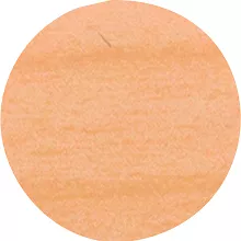 ZAŚLEPKA 168 JESION 13/20SZT 